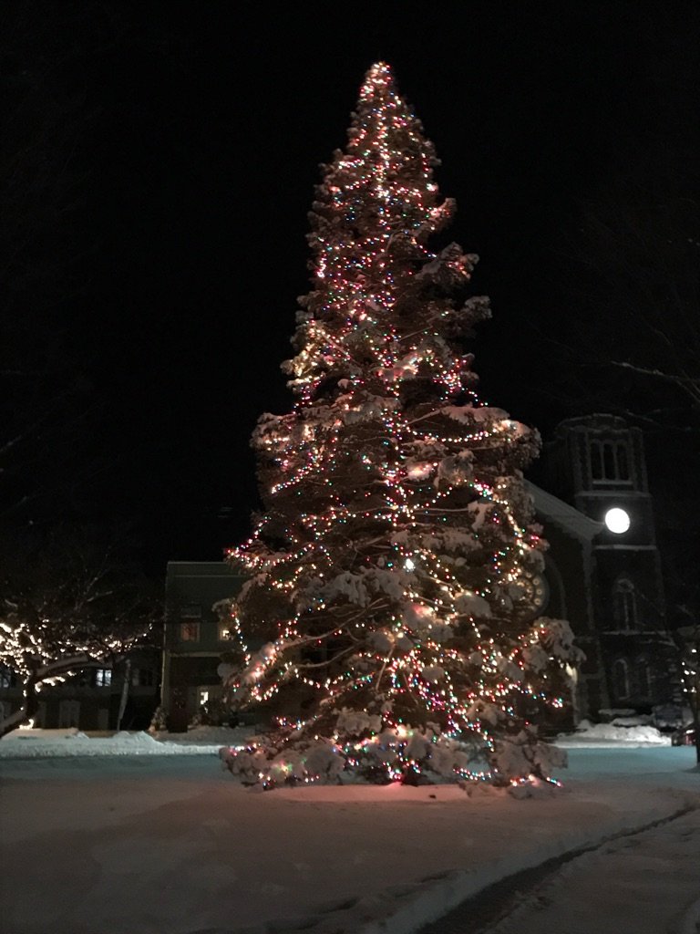 Christmas tree in the village green